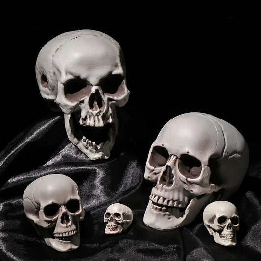 All-Size Plastic Human Skull Head – Halloween Skeleton Prop for Haunted House & Party Decor